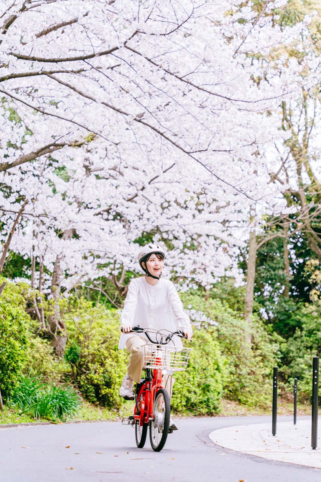 桜並木を走るチャリチャリ